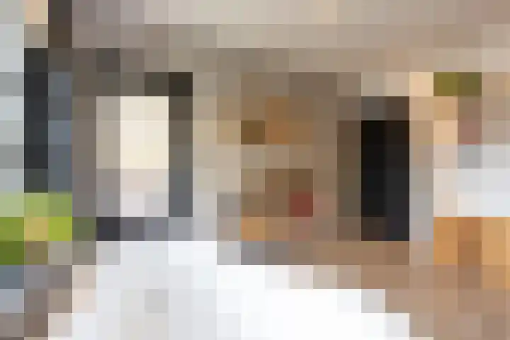 Heiligestraat 14 a Tiel thumbnail 67