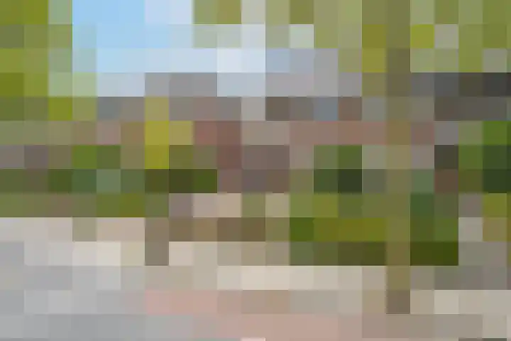 Heiligestraat 14 a Tiel thumbnail 8