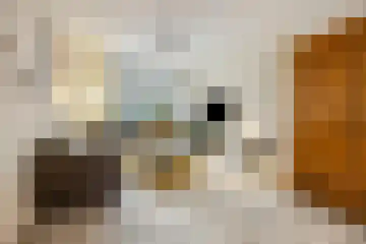 Heiligestraat 15 b Tiel thumbnail 10