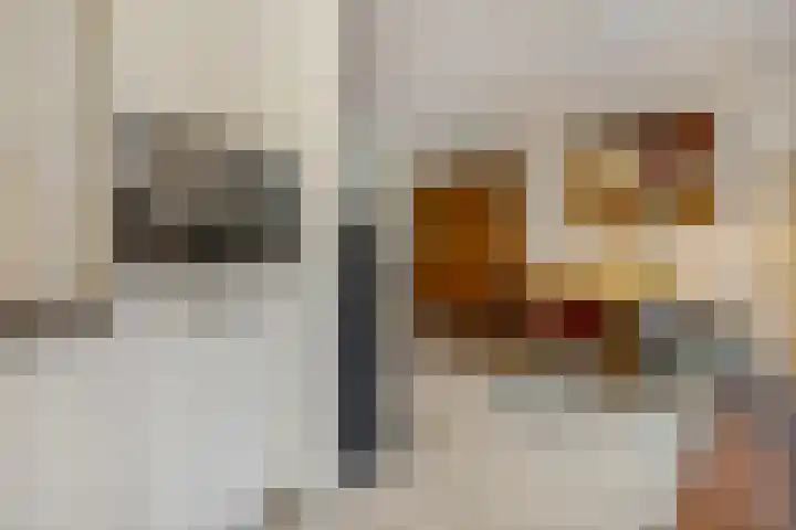 Heiligestraat 15 b Tiel thumbnail 17