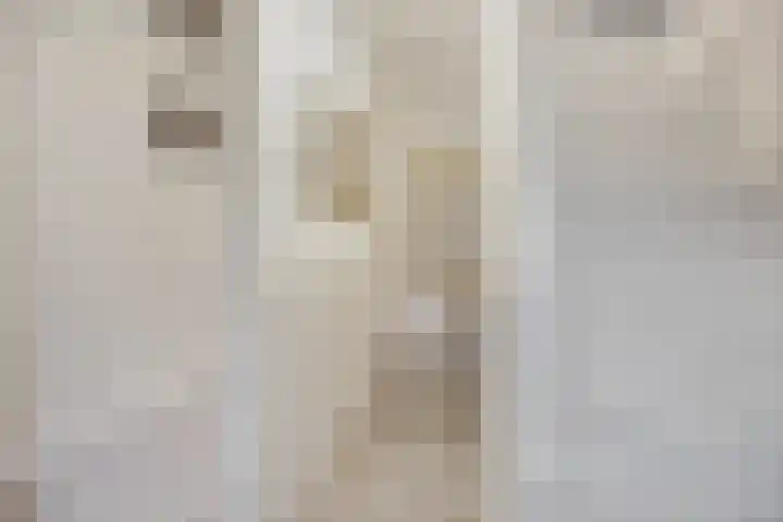Heiligestraat 15 b Tiel thumbnail 22