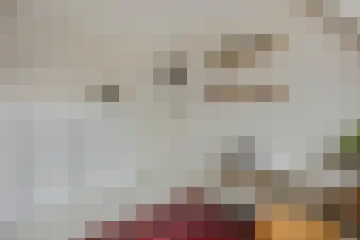 Heiligestraat 15 b Tiel thumbnail 27