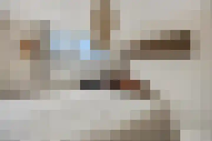 Heiligestraat 15 b Tiel thumbnail 28