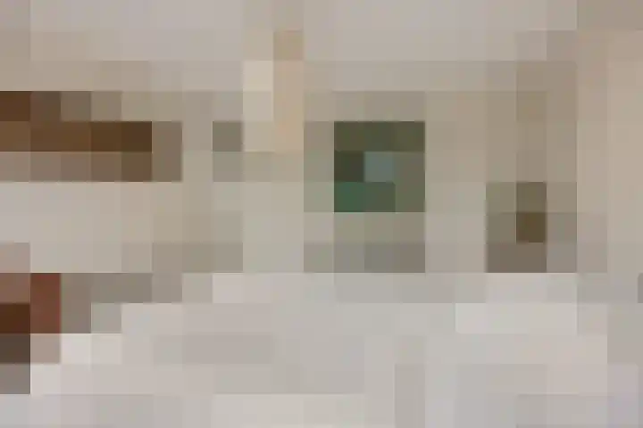 Heiligestraat 15 b Tiel thumbnail 29