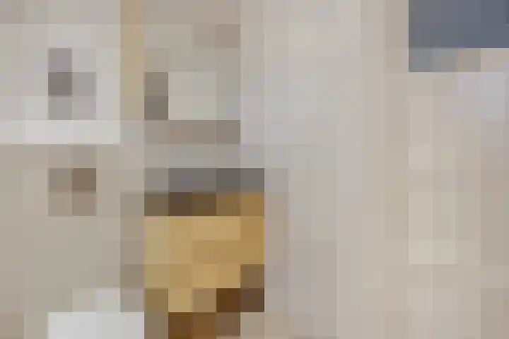 Heiligestraat 15 b Tiel thumbnail 31