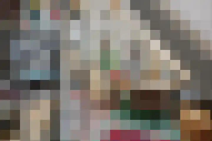 Heiligestraat 15 b Tiel thumbnail 32