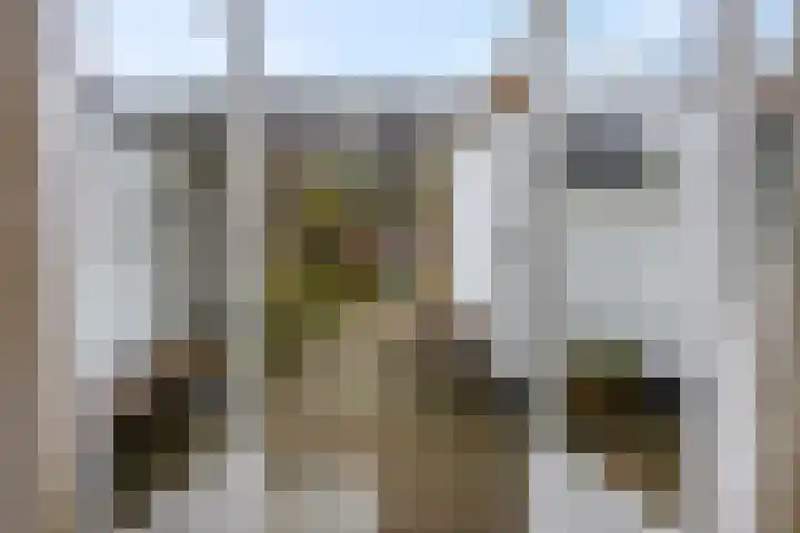 Heiligestraat 15 b Tiel thumbnail 34