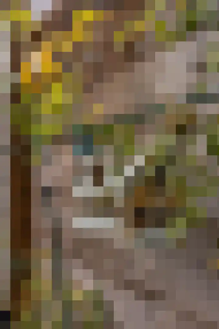 Heiligestraat 15 b Tiel thumbnail 36