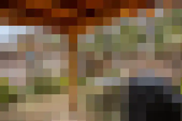 Heiligestraat 15 b Tiel thumbnail 37
