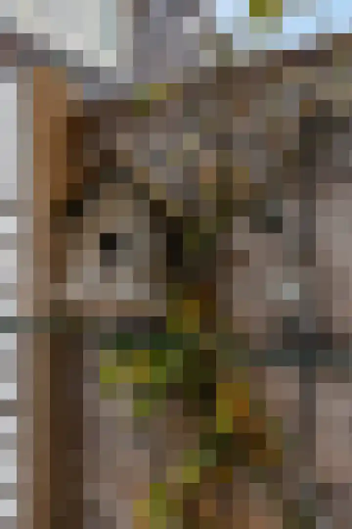 Heiligestraat 15 b Tiel thumbnail 39