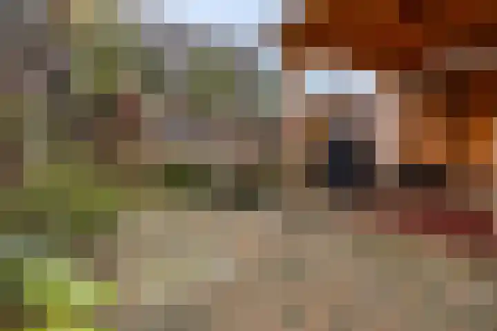 Heiligestraat 15 b Tiel thumbnail 40