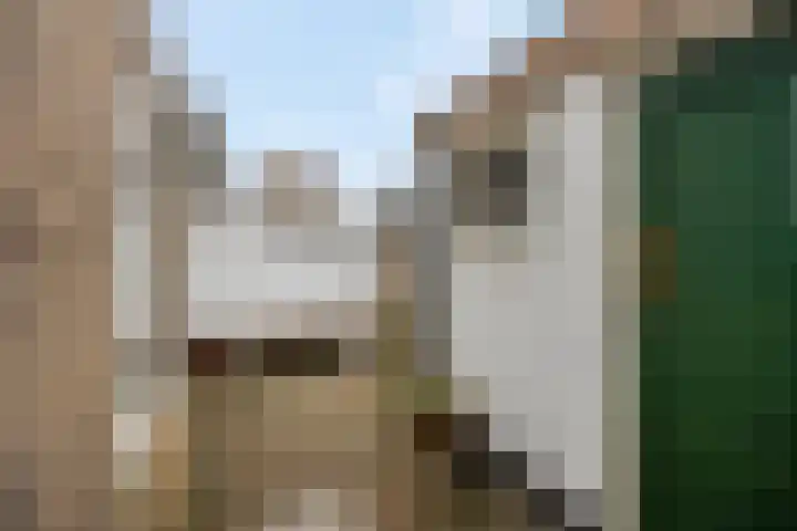 Heiligestraat 15 b Tiel thumbnail 42