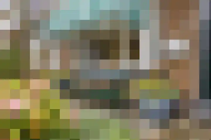 Heiligestraat 15 b Tiel thumbnail 7