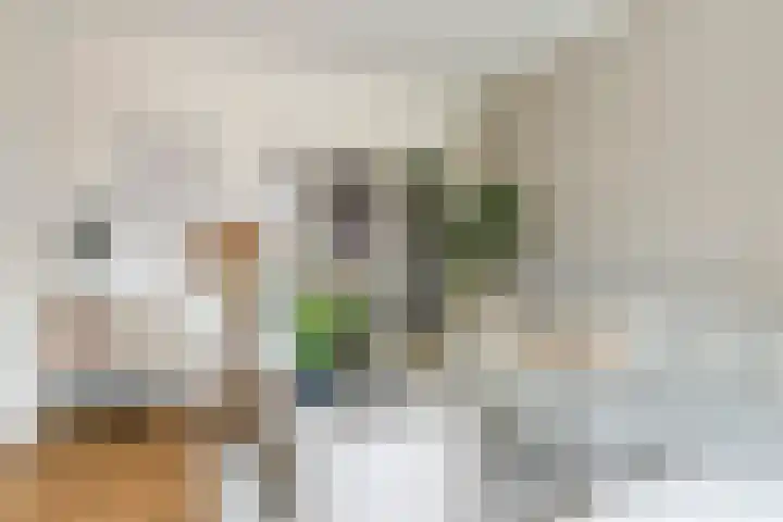Heiligestraat 19 Tiel thumbnail 10