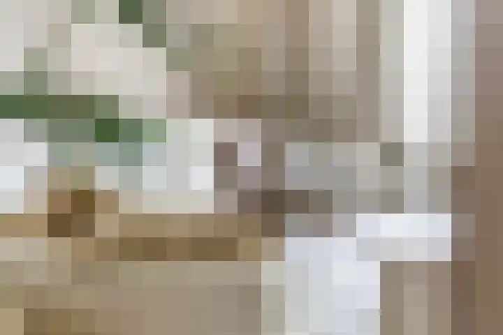 Heiligestraat 19 Tiel thumbnail 11