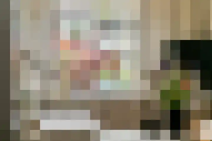 Heiligestraat 19 Tiel thumbnail 12