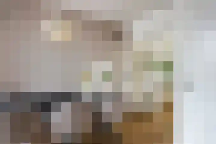 Heiligestraat 19 Tiel thumbnail 13