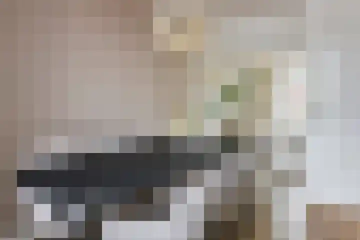 Heiligestraat 19 Tiel thumbnail 14