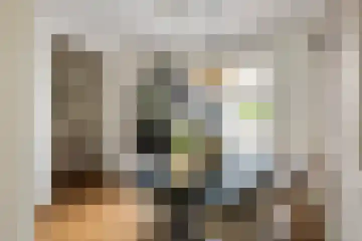 Heiligestraat 19 Tiel thumbnail 18