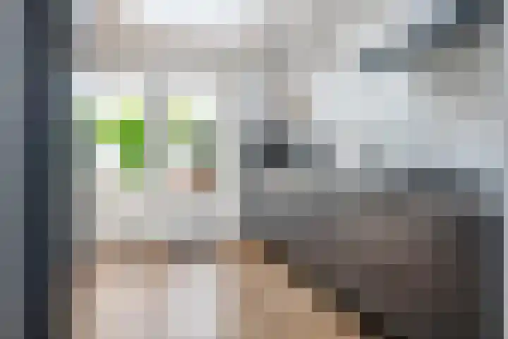 Heiligestraat 19 Tiel thumbnail 20