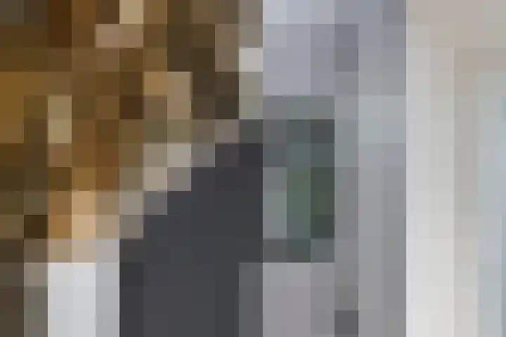 Heiligestraat 19 Tiel thumbnail 21
