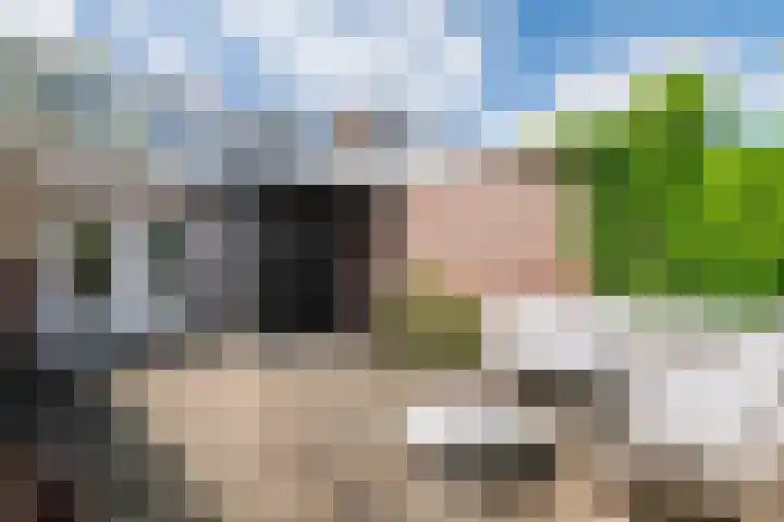 Heiligestraat 19 Tiel thumbnail 34