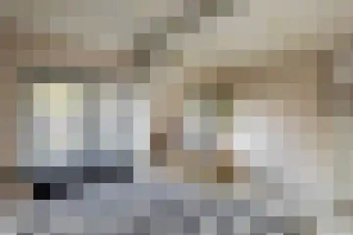 Heiligestraat 19 Tiel thumbnail 43