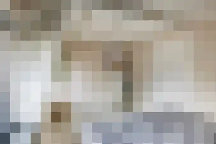 Heiligestraat 19 Tiel thumbnail 44