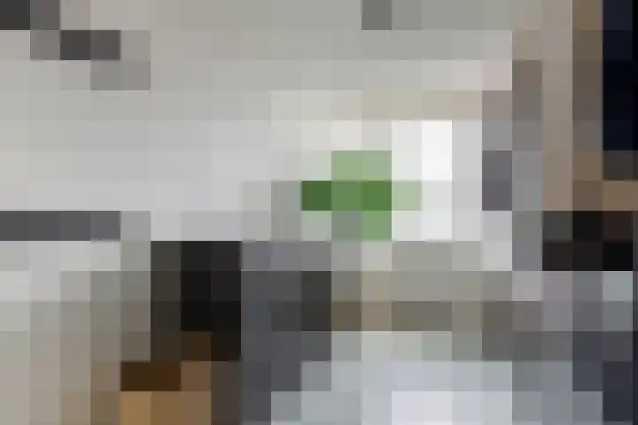Heiligestraat 19 Tiel thumbnail 45