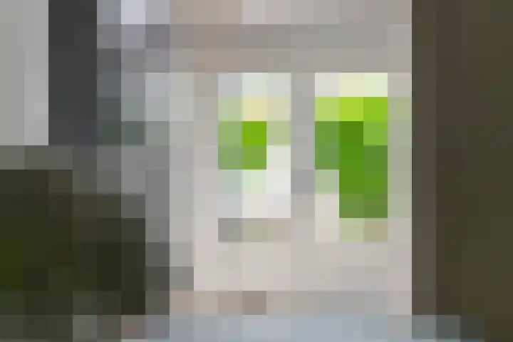 Heiligestraat 19 Tiel thumbnail 5