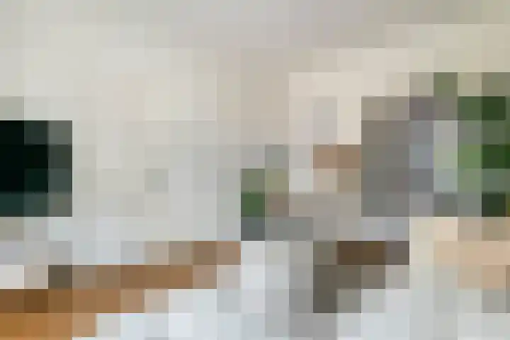 Heiligestraat 19 Tiel thumbnail 7