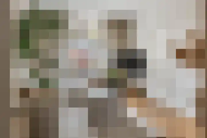 Heiligestraat 19 Tiel thumbnail 8