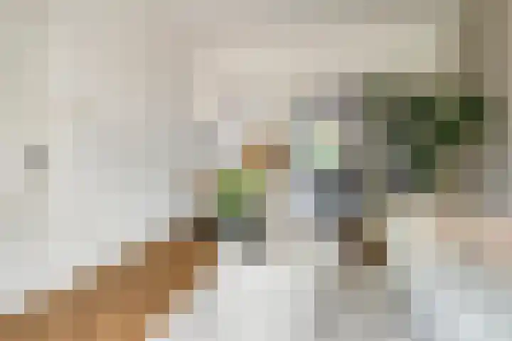 Heiligestraat 19 Tiel thumbnail 9