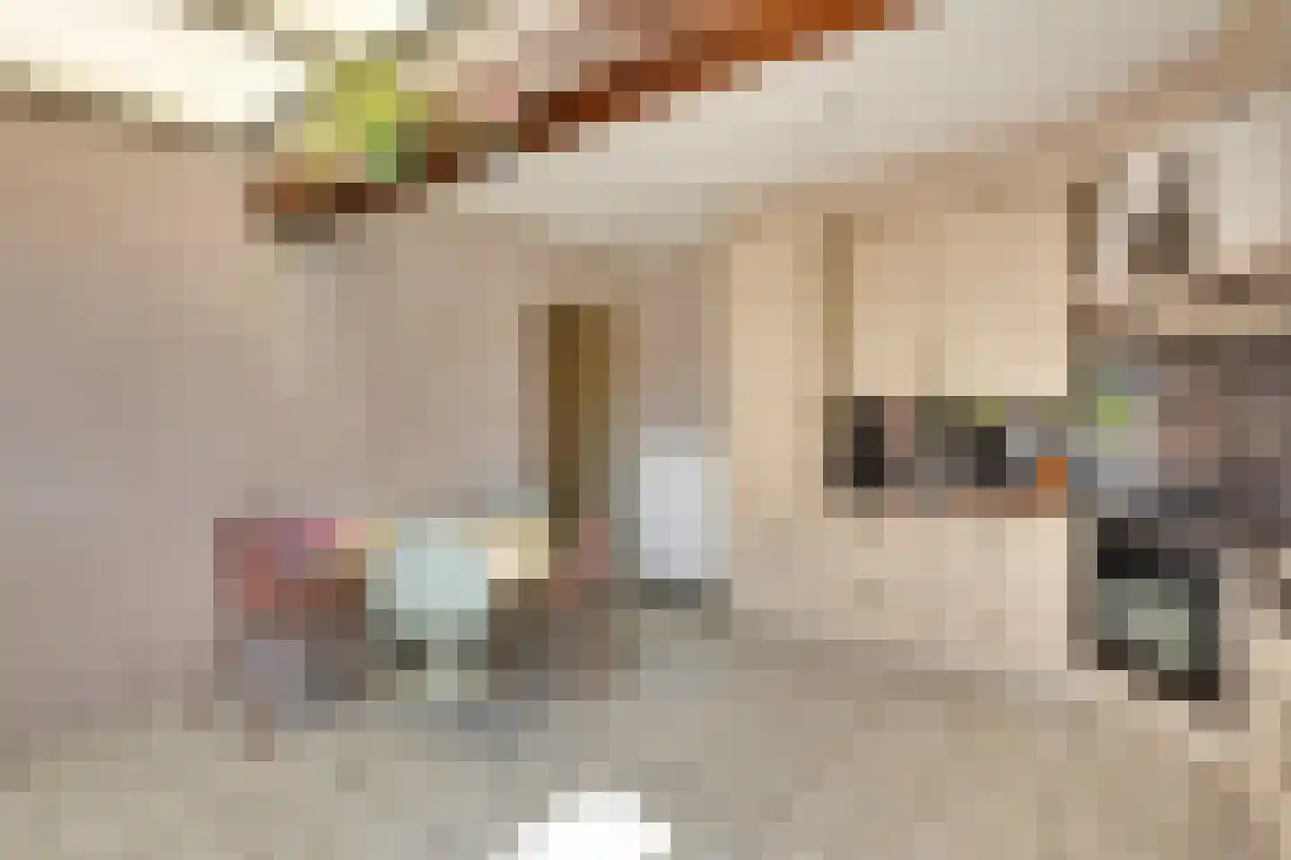 Heiligestraat 2 Tiel thumbnail 5
