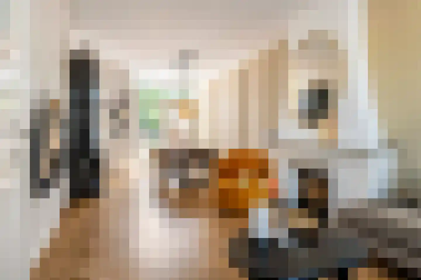 Heiligestraat 43 Tiel thumbnail 10