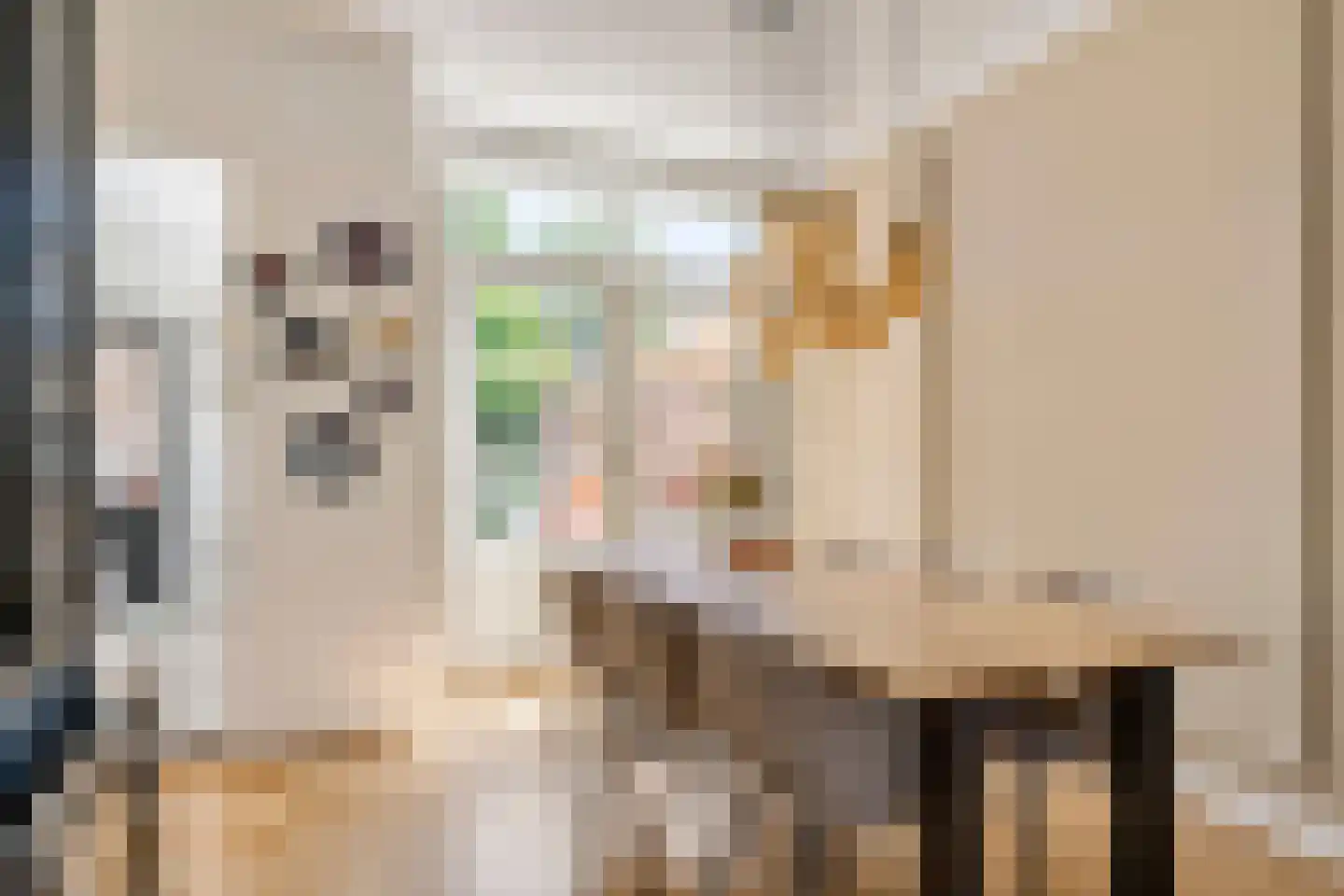 Heiligestraat 43 Tiel thumbnail 12