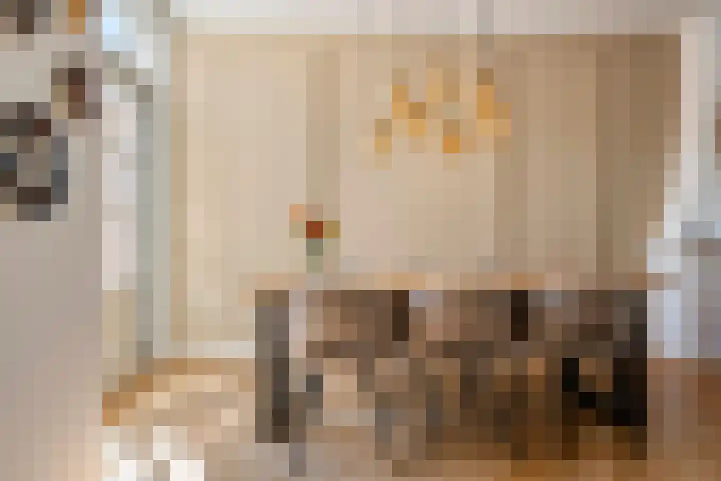 Heiligestraat 43 Tiel thumbnail 15