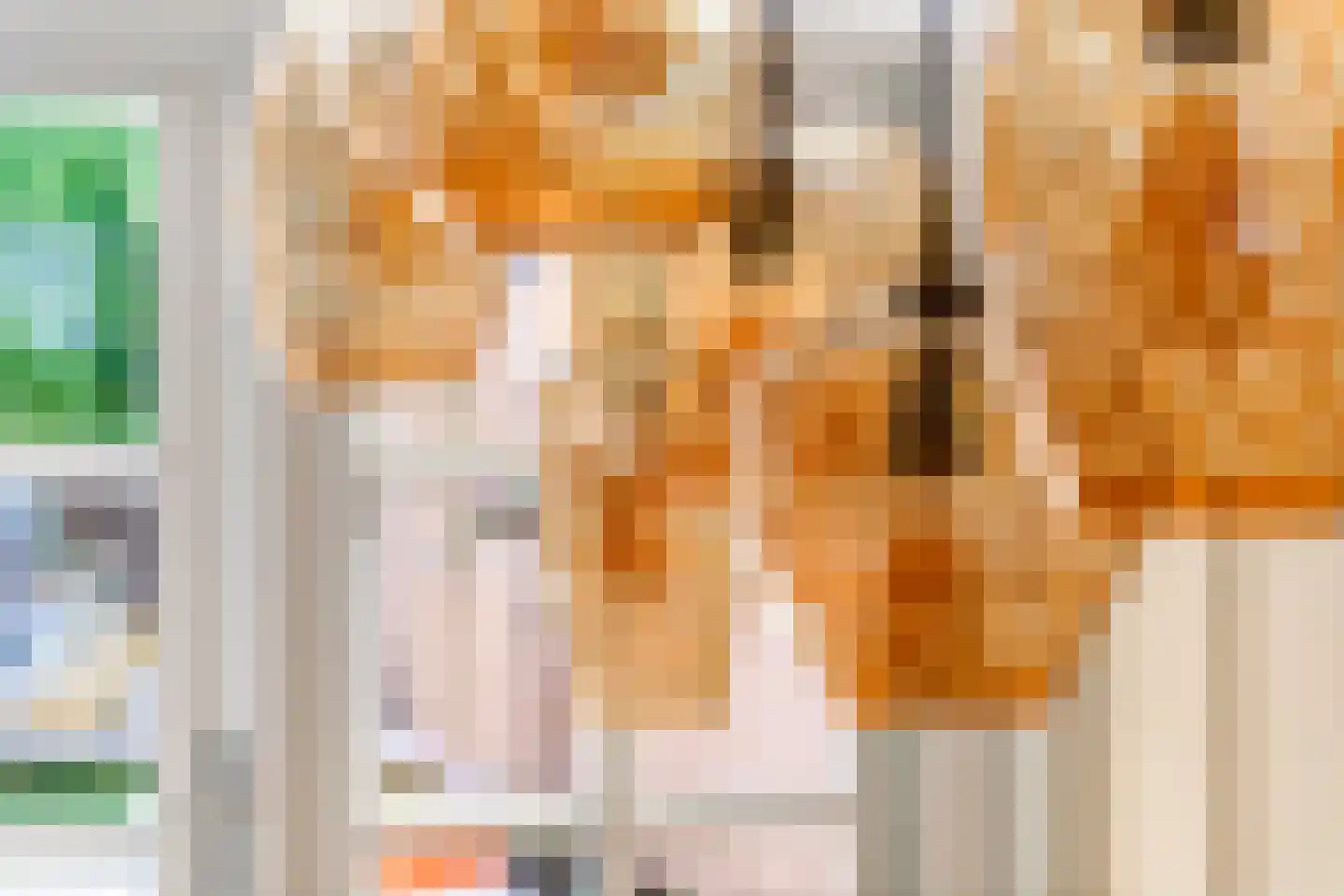 Heiligestraat 43 Tiel thumbnail 16