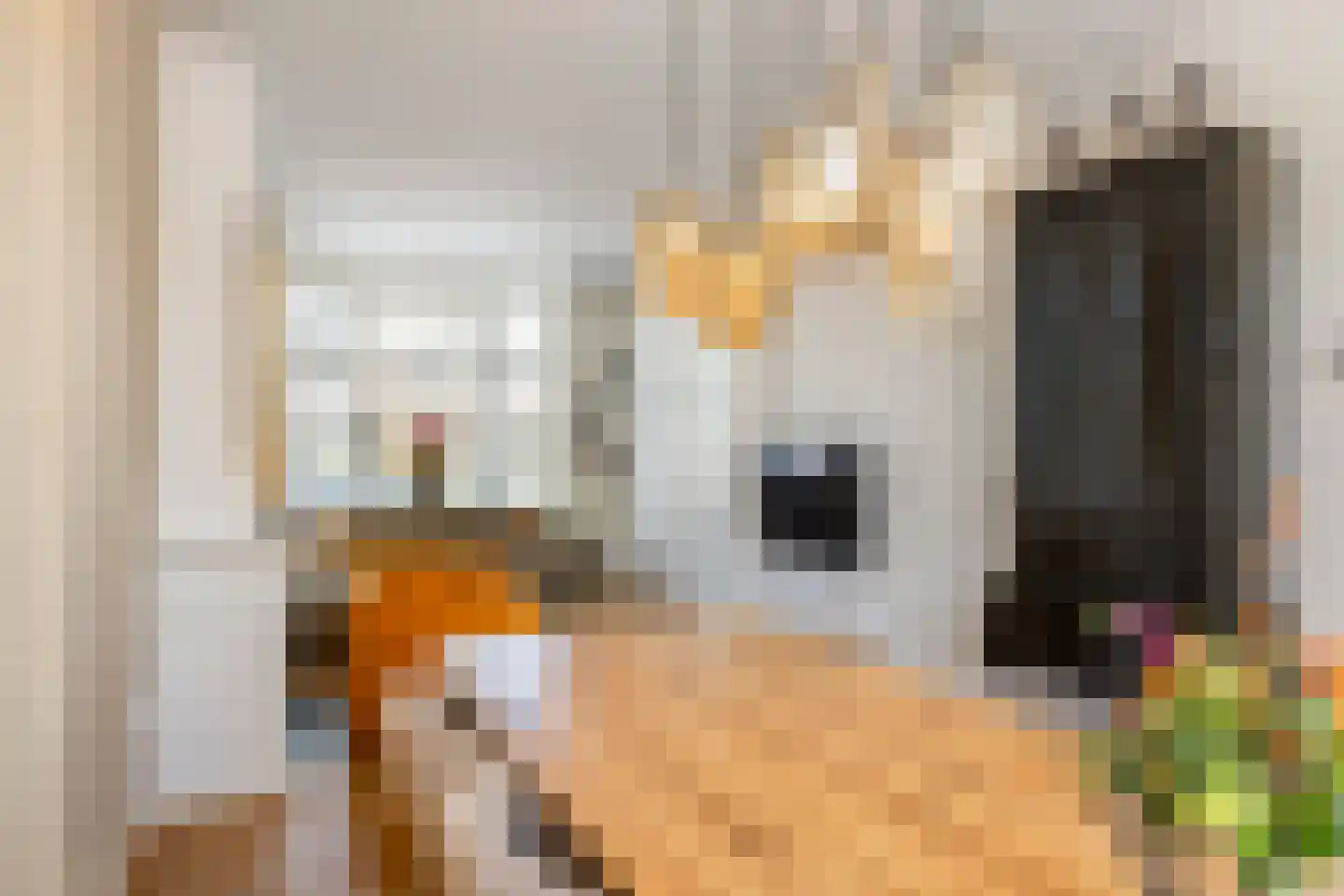 Heiligestraat 43 Tiel thumbnail 17