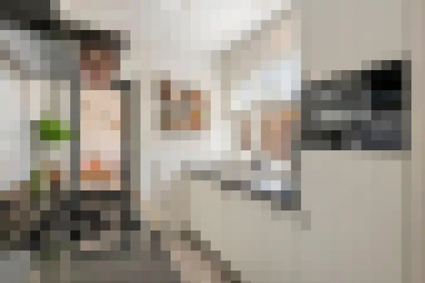Heiligestraat 43 Tiel thumbnail 21