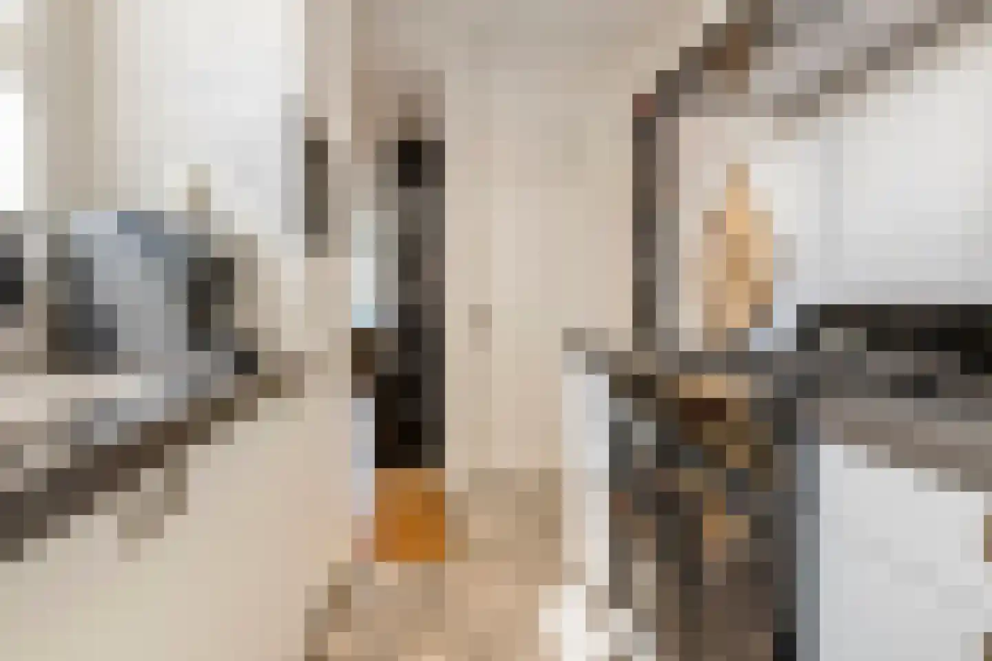 Heiligestraat 43 Tiel thumbnail 25