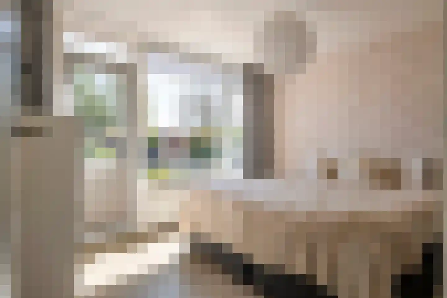Heiligestraat 43 Tiel thumbnail 27
