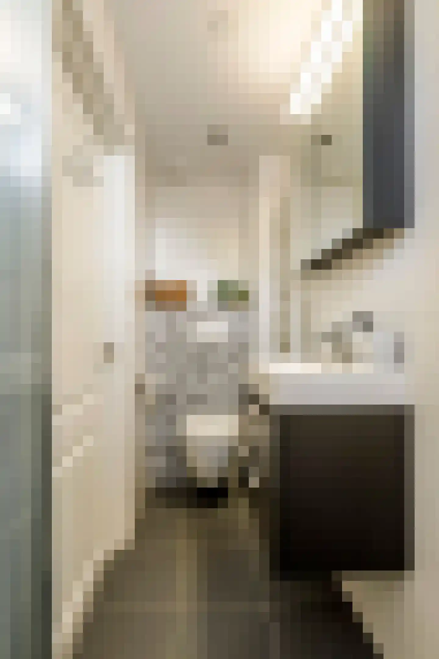 Heiligestraat 43 Tiel thumbnail 31