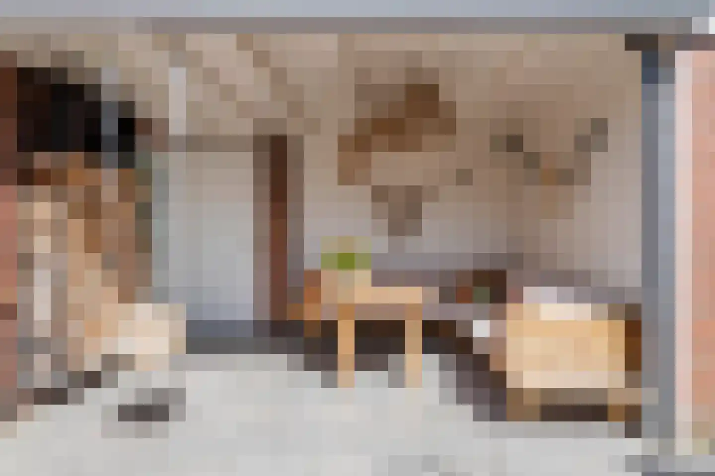 Heiligestraat 43 Tiel thumbnail 40