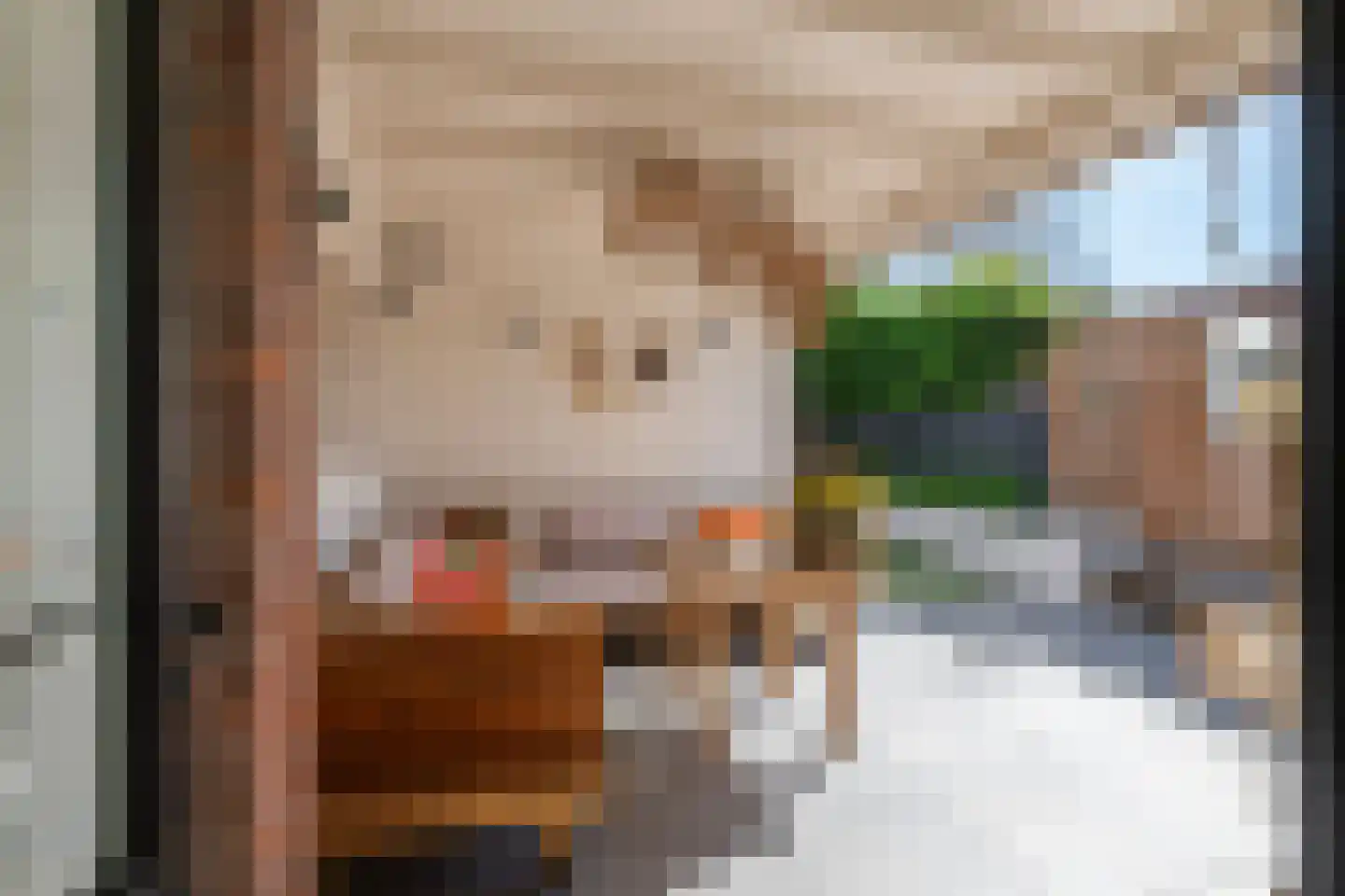 Heiligestraat 43 Tiel thumbnail 41