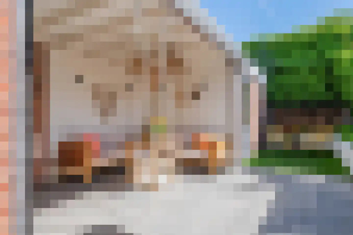 Heiligestraat 43 Tiel thumbnail 43