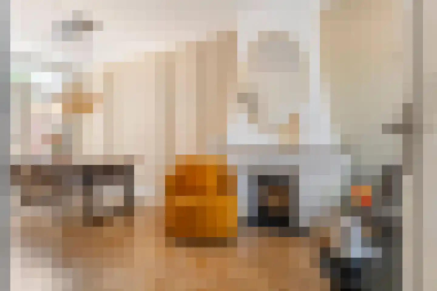 Heiligestraat 43 Tiel thumbnail 5