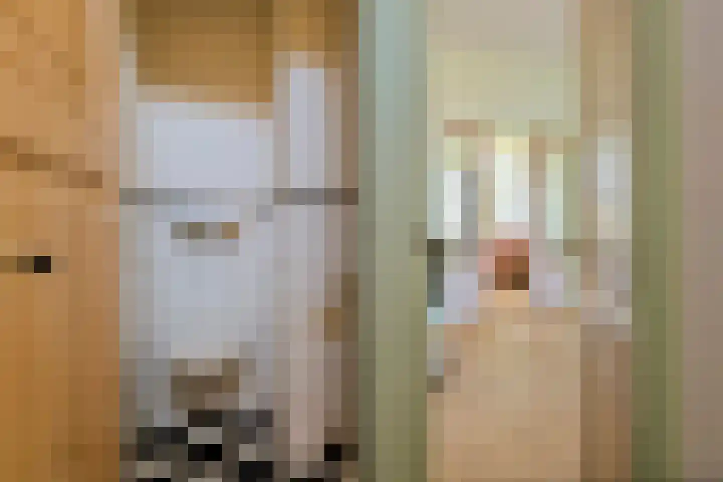 Heiligestraat 57 Tiel thumbnail 12