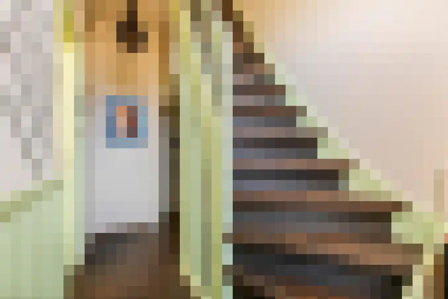Heiligestraat 57 Tiel thumbnail 17