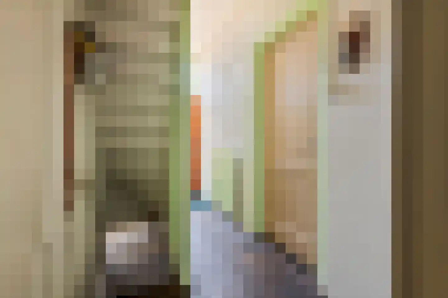 Heiligestraat 57 Tiel thumbnail 18